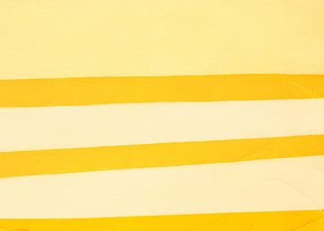 Sol de san Andrés sur Mauricio Melendez