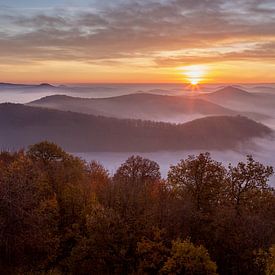 Sonnenaufgang über dem Pfaltzerwald in Deutschland von Paul Begijn