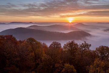 Sonnenaufgang über dem Pfaltzerwald in Deutschland