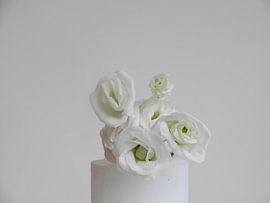 virginity by Sandra Vermeer