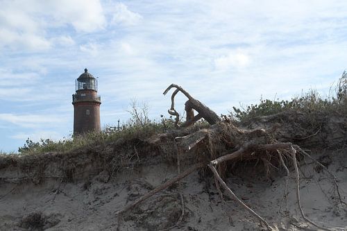 Baumwurzel im Vordergrund: Der Leuchtturm auf dem Darss