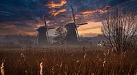 Kinderdijk