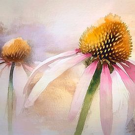 Peinture de rêve : Fleurs du chapeau de soleil sur Studio Pieternel