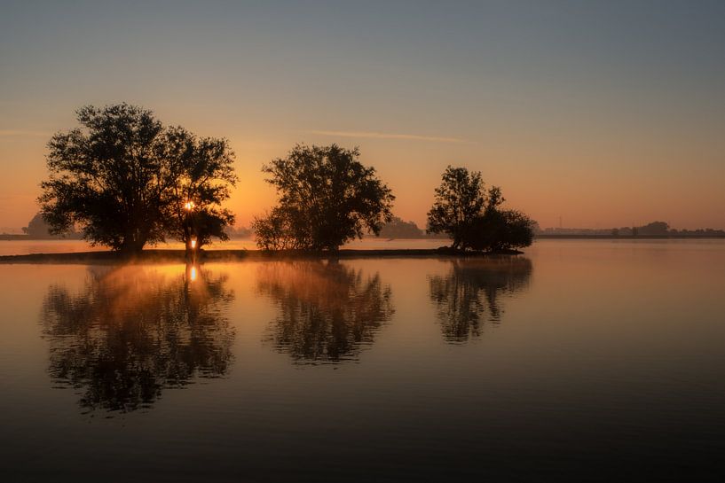 Reflection trees in water with sunrise by Moetwil en van Dijk - Fotografie