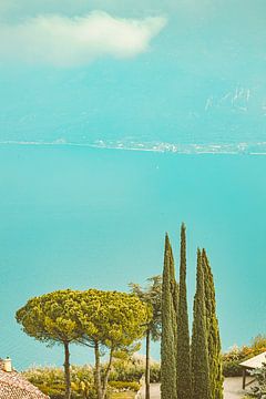 Arbres du lac sur Michael Schulz-Dostal