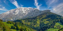 Der Belchen im Schwarzwald von Photo Art Thomas Klee