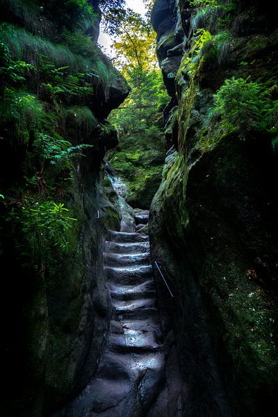 Stairway by Jolieke