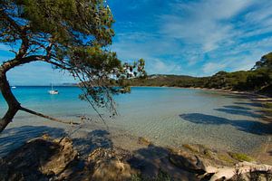 Droomstrand op het Ile de Porquerolles in Zuid-Frankrijk van Tanja Voigt