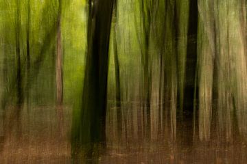 Schilderachtig bos in de herfst van Marjolijn Maljaars