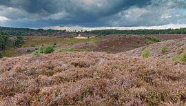 Die Posbank. von Menno Schaefer