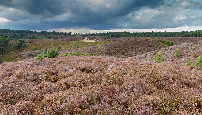 The Posbank. by Menno Schaefer