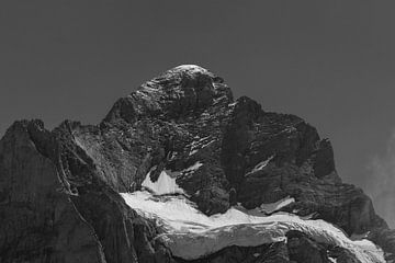 Wetterhorn van Reinier Holster