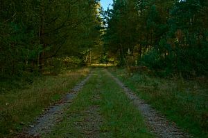 Der Weg zu sich selbst