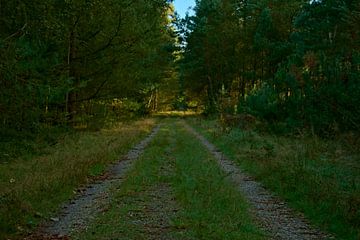 Road to yourself van IdzardCreations
