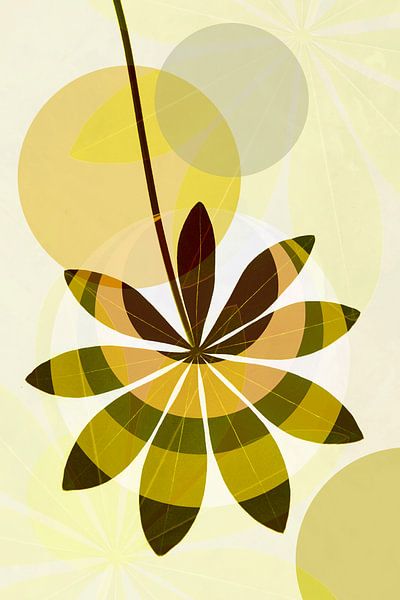 Lupin retro by Richards Fine Art