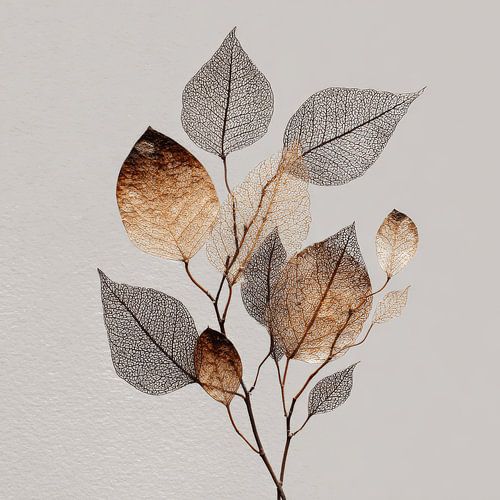 Skeleton Leaves in Transparent Harmony Botanical Detail