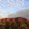 Uluru von Matthias Brix
