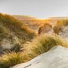 Dunes de la mer du Nord sur Ursula Reins
