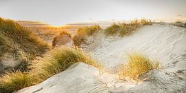 Dunes de la mer du Nord sur Ursula Reins