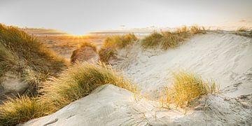 Dunes de la mer du Nord sur Ursula Reins
