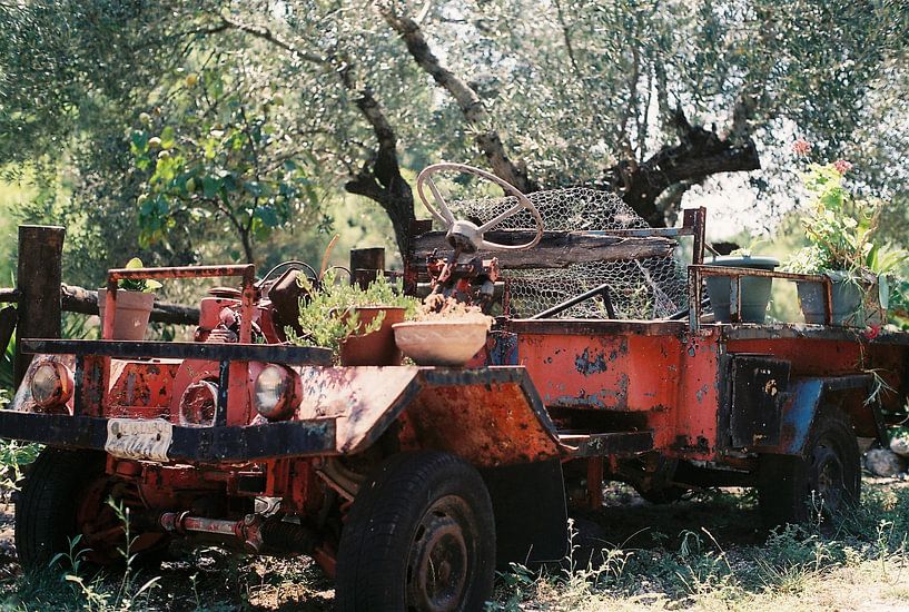 Verlassenes Auto (35mm Film) von Tim van Deursen