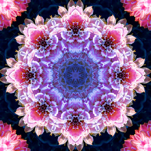Bevroren bloem, mandala