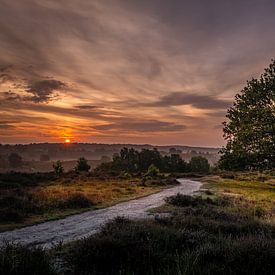 Summer mornings... von Wilko Ketelaar