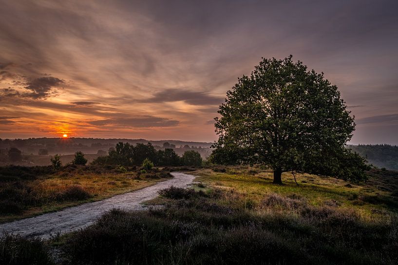 Summer mornings.... van Wilko Ketelaar