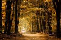 Indian Summer.