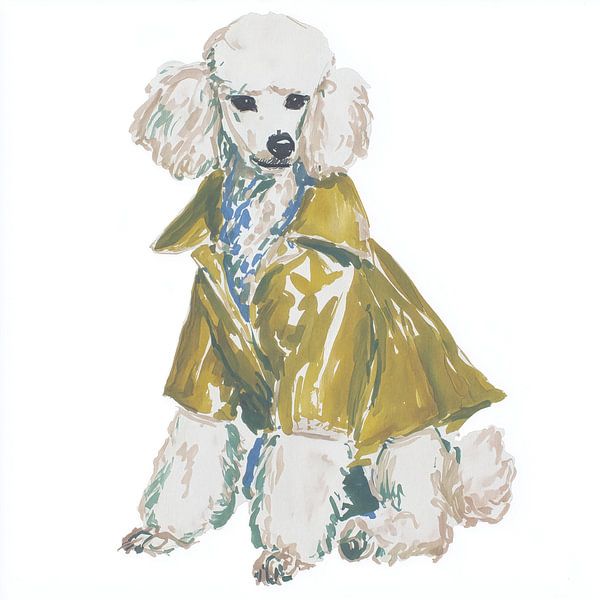Chic poodle in mackintosh by Studio Oars