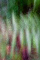 Abstracte fotografie