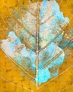 Nature Leaf Veins on Gold by Mad Dog Art thumbnail