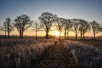 Sonnenaufgang in Exloo