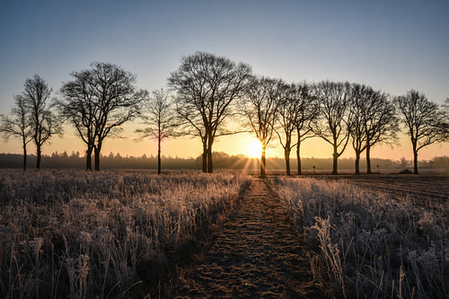Sonnenaufgang in Exloo