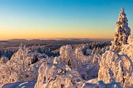 Winter in het Nationaal Park Zwarte Woud van Werner Dieterich thumbnail