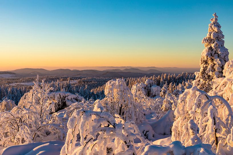 Winter in het Nationaal Park Zwarte Woud van Werner Dieterich