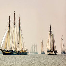 Harlingen. Course de Brandaris. Course annuelle de voiliers traditionnels. sur Frans Lemmens