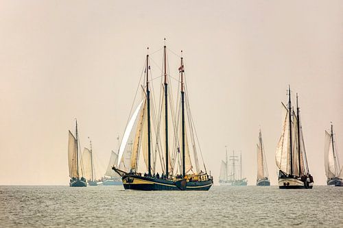 Harlingen. Brandaris Race. Jaarlijkse race van traditionele zeilboten. van Frans Lemmens
