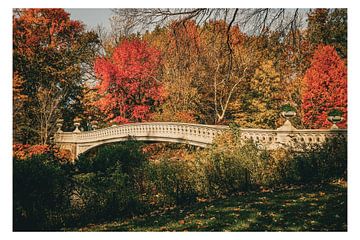 Central Park Bow Bridge by cudbeart