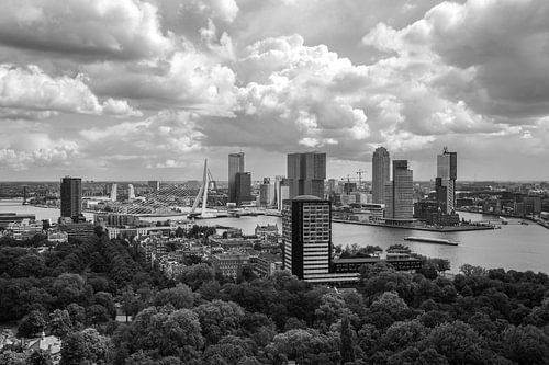 De skyline van Rotterdam