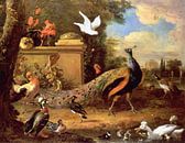 Paons et autres oiseaux au bord d'un lac, Melchior d'Hondecoeter par Bridgeman Masters Aperçu