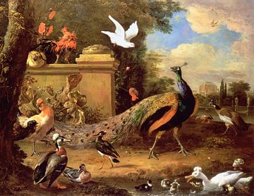 Pauwen en andere vogels bij een meer, Melchior d'Hondecoeter