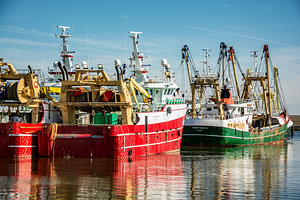 Fischerboote im Hafen.