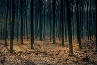 ghostly trees