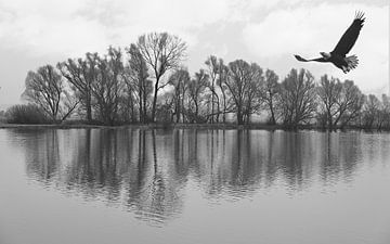 Bomenrij langs het water in zwart wit. van Jose Lok