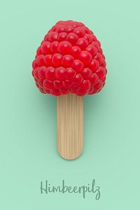Himbeerpilz