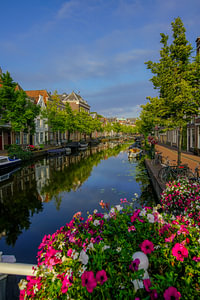 Neu Rhein Leiden