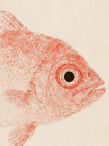 Gyotaku Fish 06 by Fernando Vieira