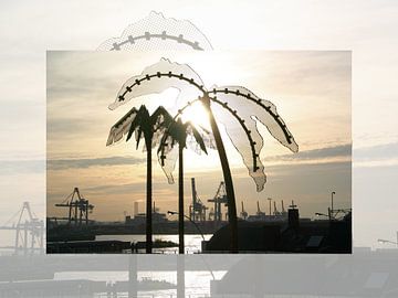Palmbomen in de haven van Hamburg van Franz Walter