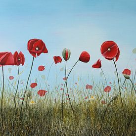 Roter Mohn im Feld II von Russell Hinckley